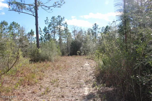 5015 NW County Road 274 Altha, FL 32421