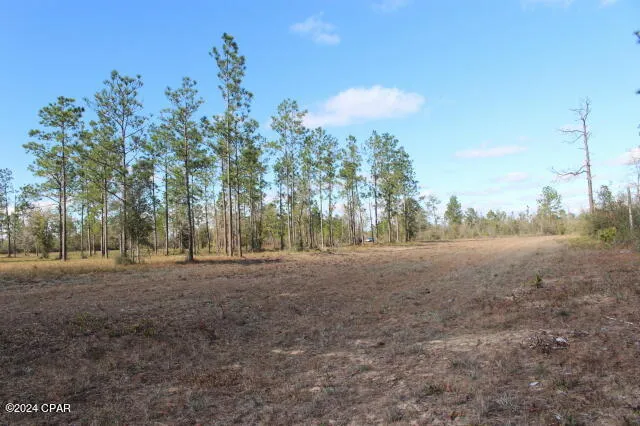 5015 NW County Road 274 Altha, FL 32421