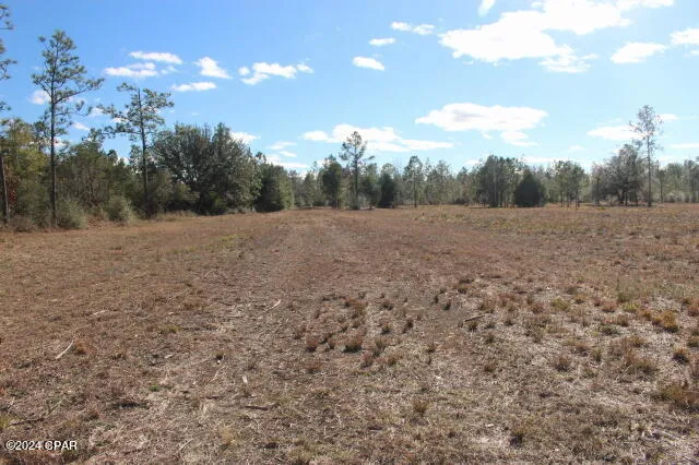5015 NW County Road 274 Altha, FL 32421