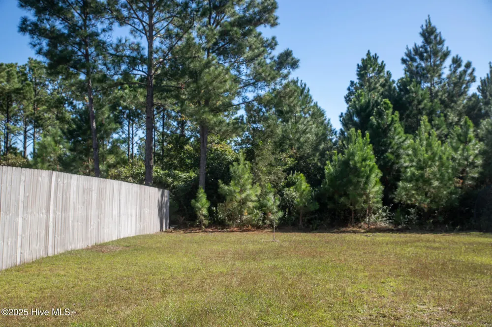 258 Currituck Drive Holly Ridge, NC 28445