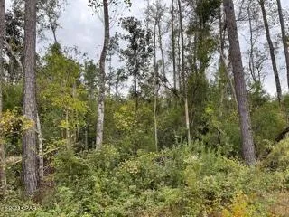 567 Los Padres Avenue Alford, FL 32420