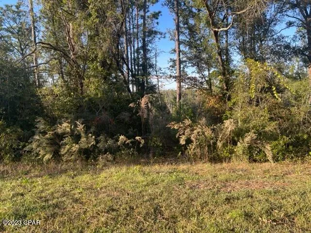 567 Los Padres Avenue Alford, FL 32420