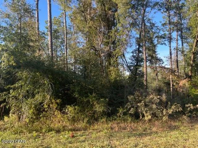 567 Los Padres Avenue Alford, FL 32420