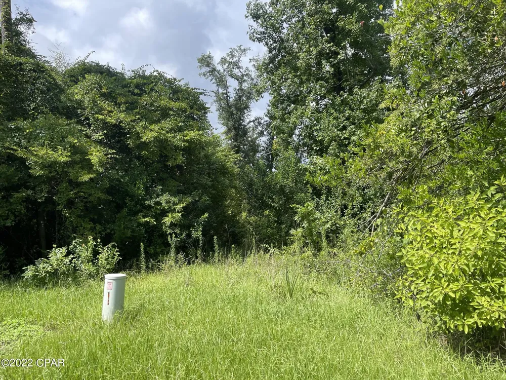 Carters Mill Road Marianna, FL 32446