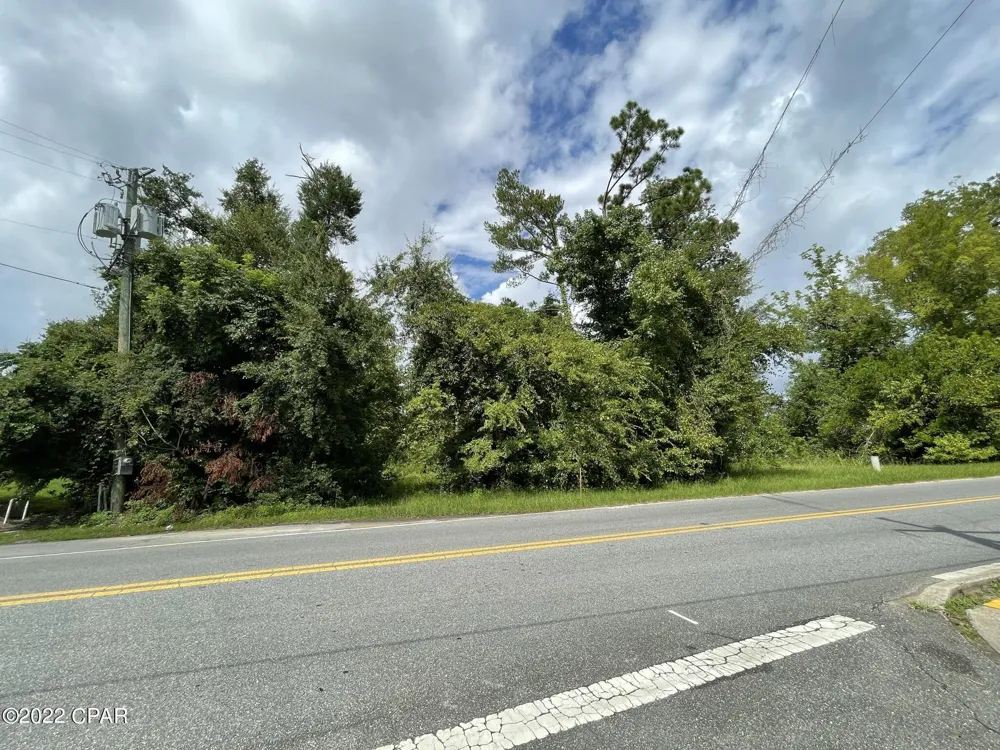 Carters Mill Road Marianna, FL 32446