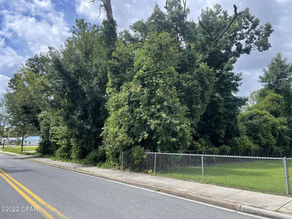 Carters Mill Road Marianna, FL 32446