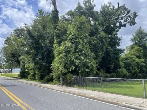 Carters Mill Road