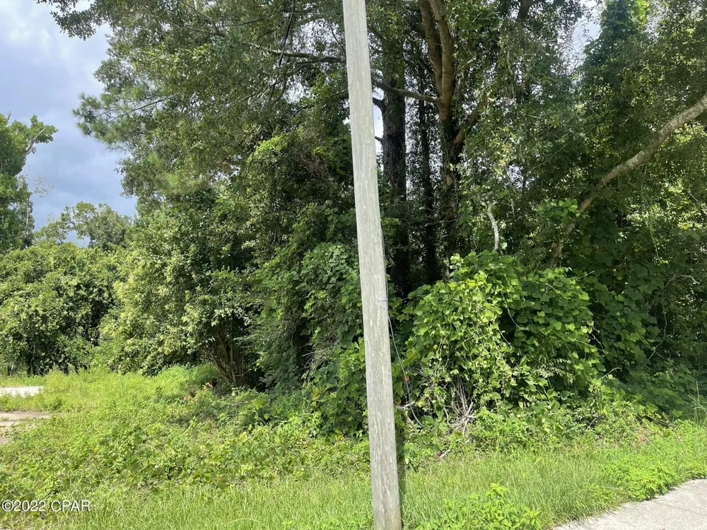 Carters Mill Road Marianna, FL 32446