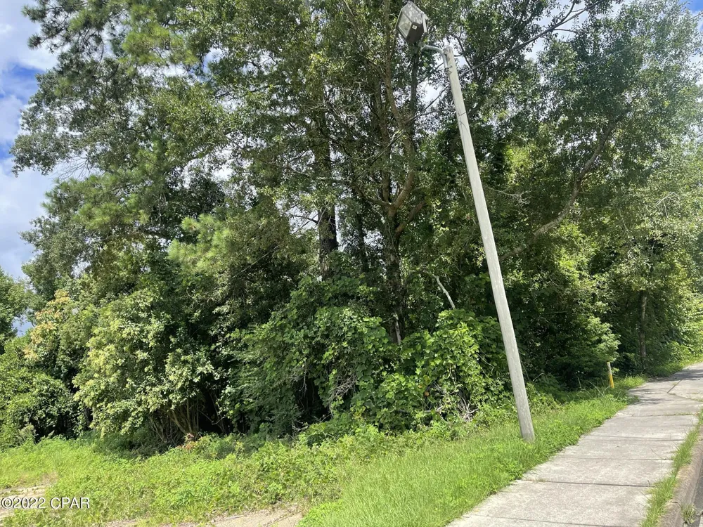 Carters Mill Road Marianna, FL 32446