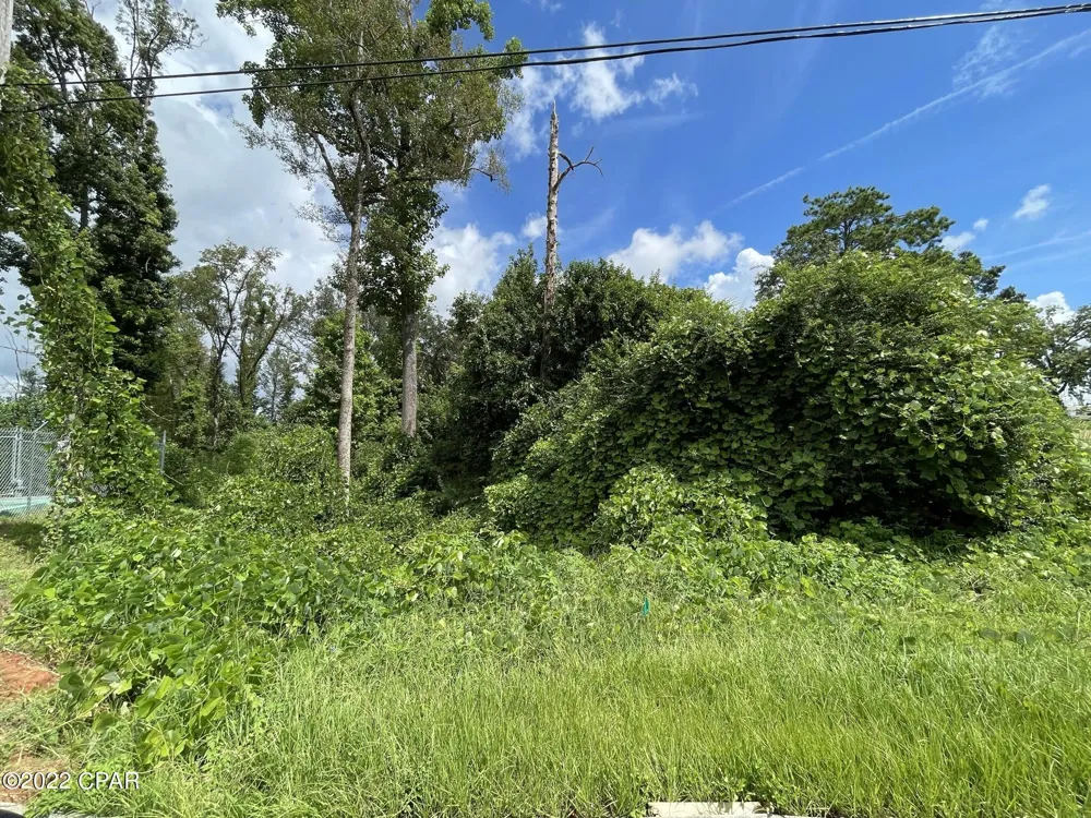 Carters Mill Road Marianna, FL 32446