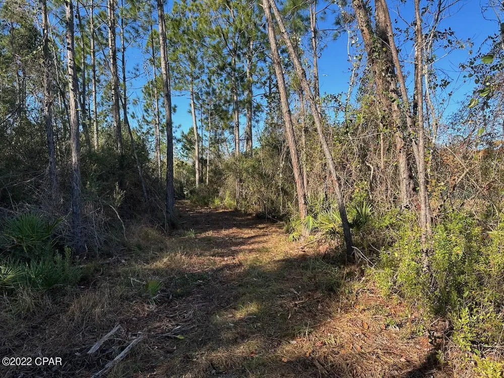 Hwy 77 Southport, FL 32409
