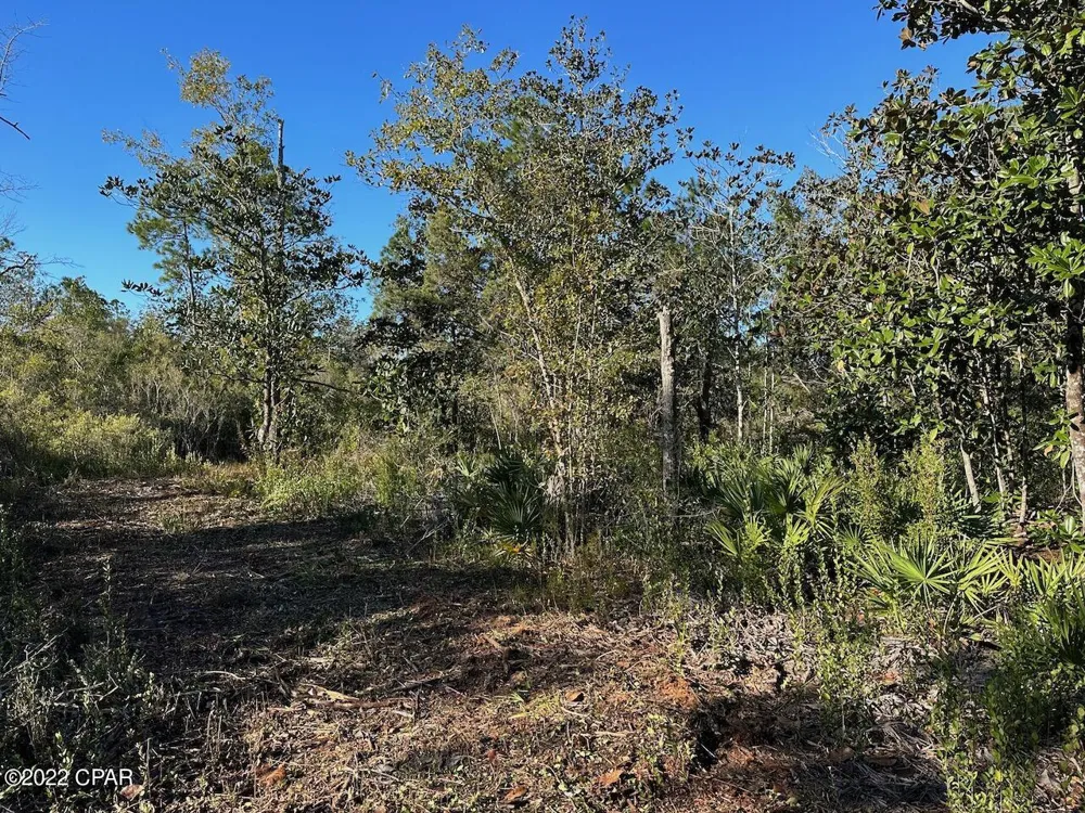 Hwy 77 Southport, FL 32409