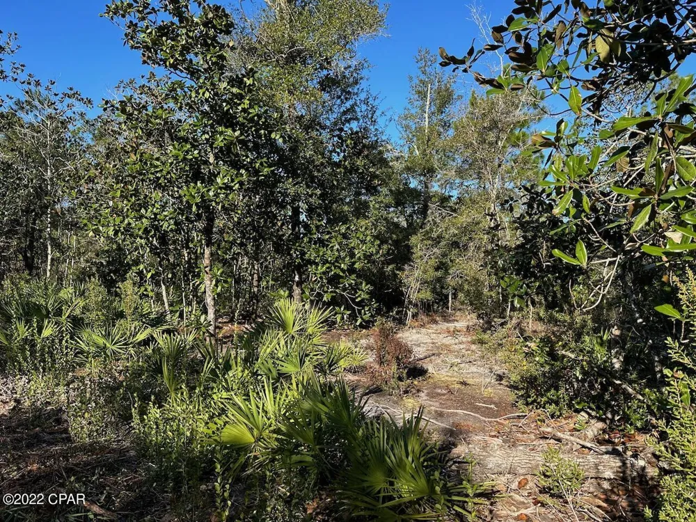 Hwy 77 Southport, FL 32409