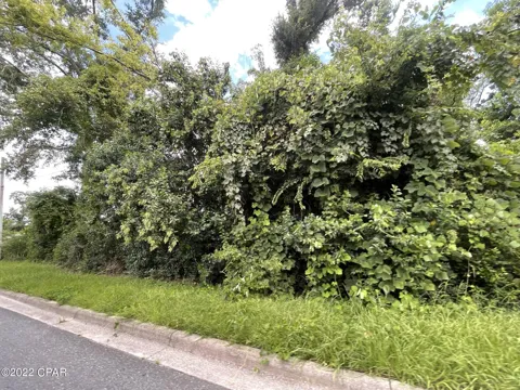 Kelson Avenue