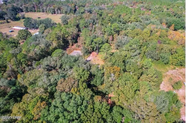 1873 Adolph Whitaker Road Bonifay, FL 32425