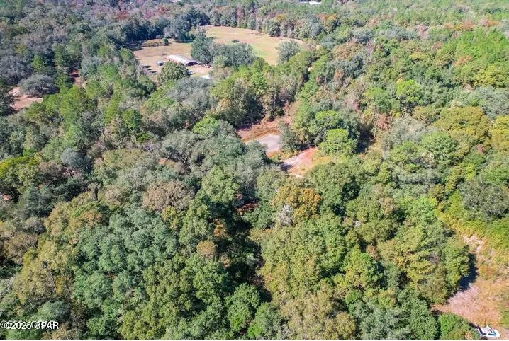 1873 Adolph Whitaker Road Bonifay, FL 32425