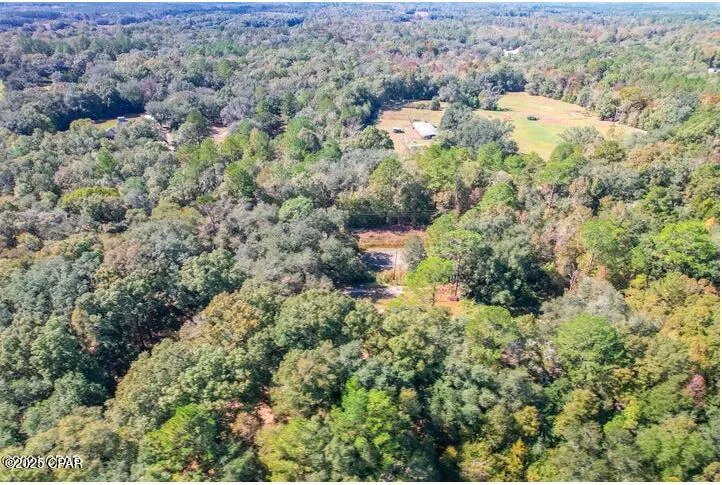 1873 Adolph Whitaker Road Bonifay, FL 32425