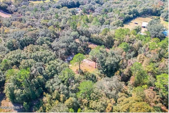 1873 Adolph Whitaker Road Bonifay, FL 32425