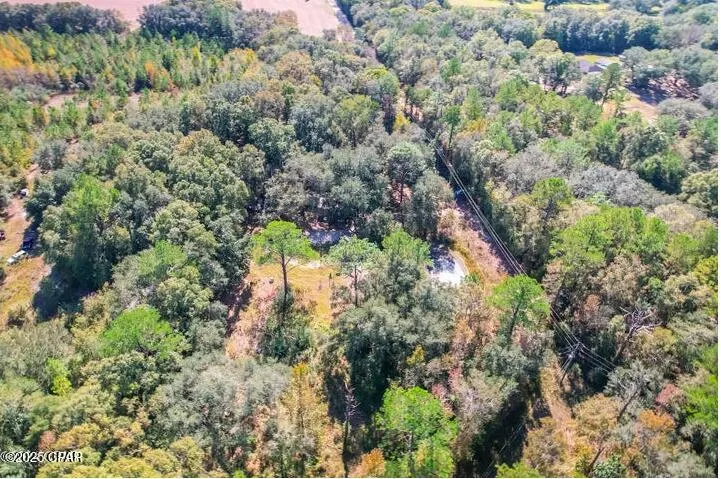 1873 Adolph Whitaker Road Bonifay, FL 32425