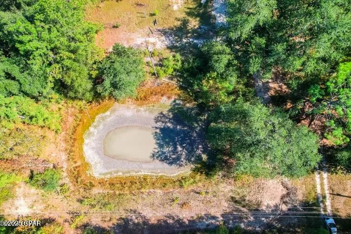 1873 Adolph Whitaker Road Bonifay, FL 32425