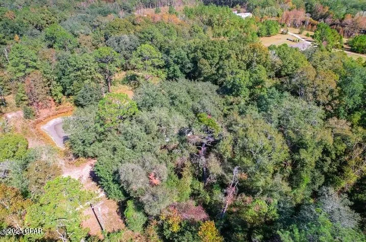 1873 Adolph Whitaker Road Bonifay, FL 32425