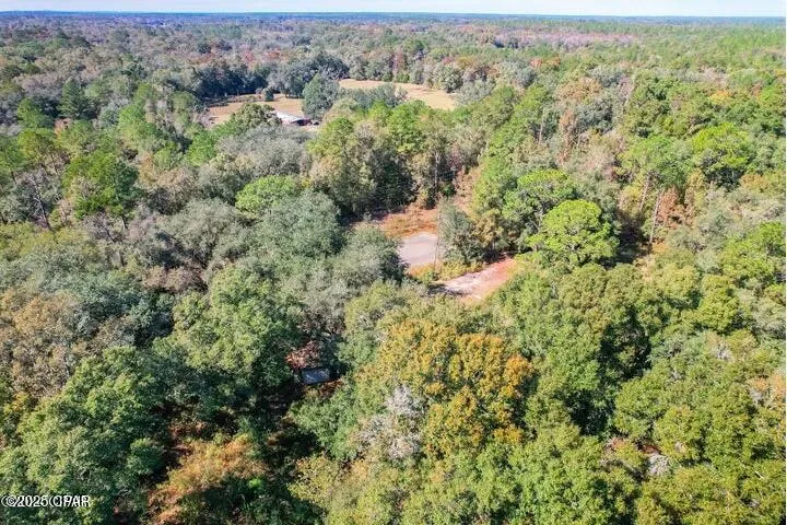 1873 Adolph Whitaker Road Bonifay, FL 32425