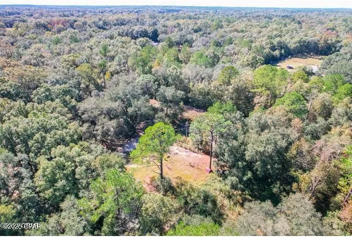 1873 Adolph Whitaker Road Bonifay, FL 32425