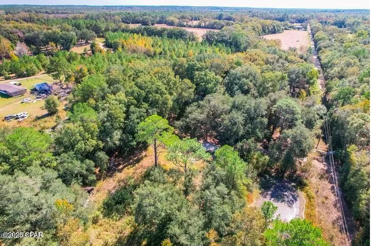 1873 Adolph Whitaker Road Bonifay, FL 32425