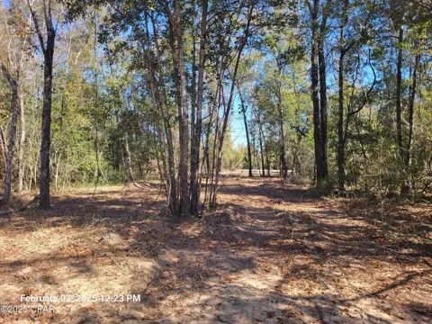 Tommy Tucker Road #Lot 3