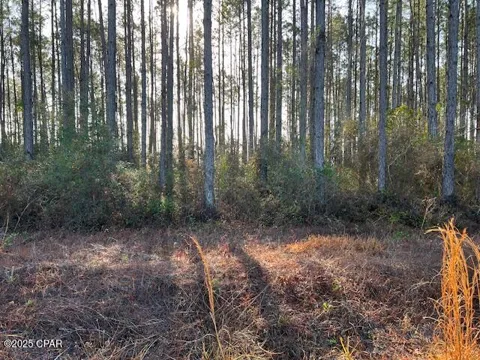 12 Douglas Landing Road