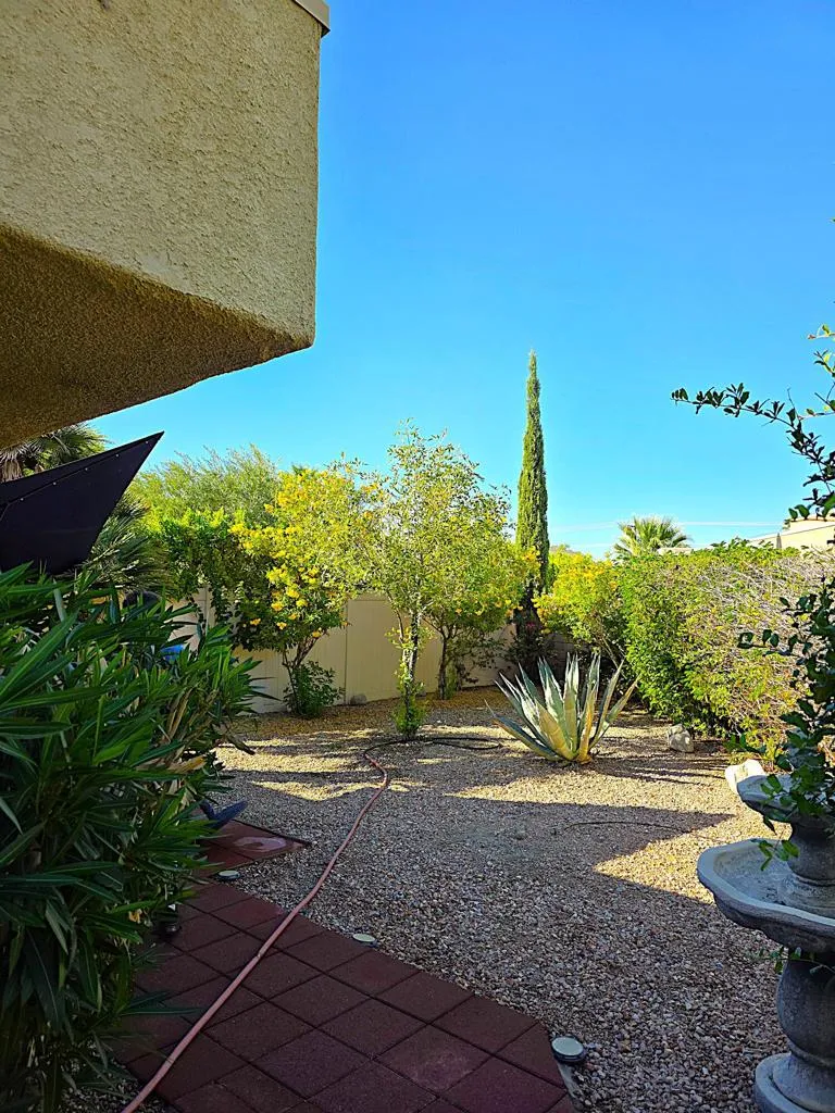 1444 Sunflower Circle Palm Springs, CA 92262