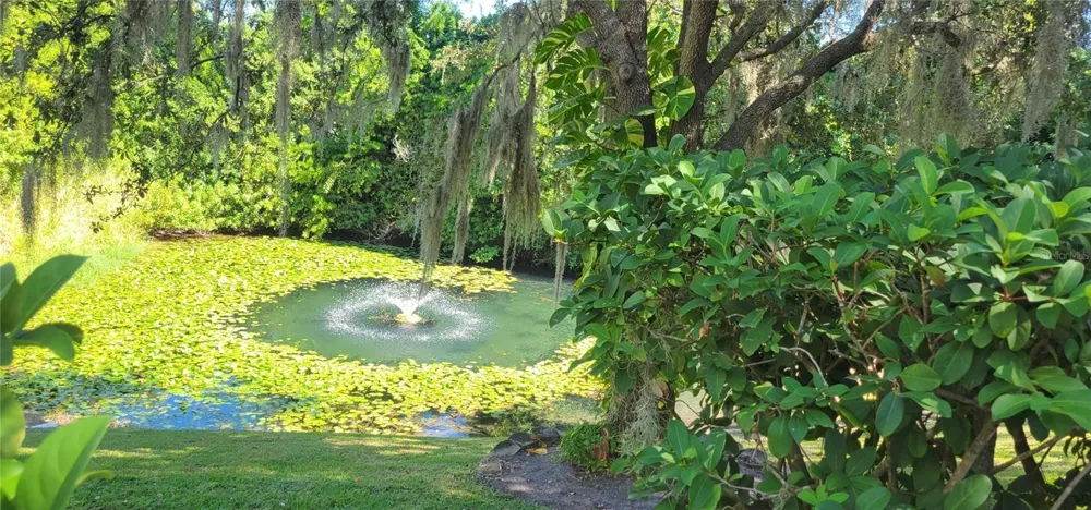 1004 OLD MILL POND ROAD Palm Harbor, FL 34683