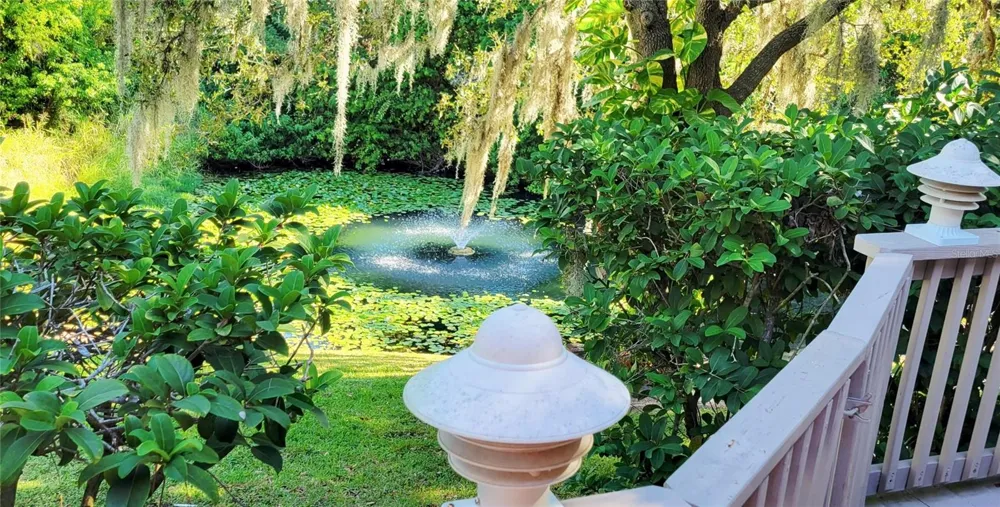 1004 OLD MILL POND ROAD Palm Harbor, FL 34683