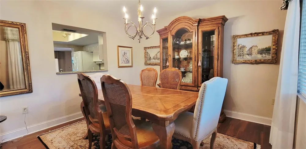 1004 OLD MILL POND ROAD Palm Harbor, FL 34683