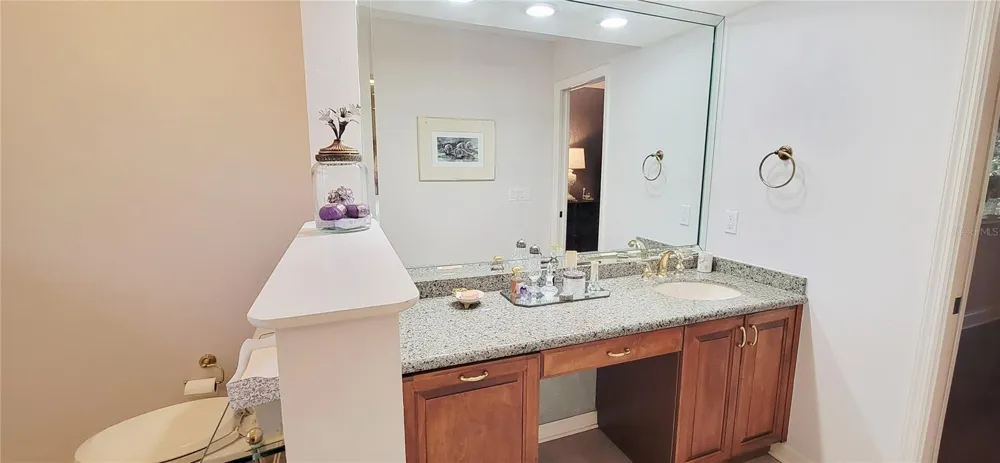 1004 OLD MILL POND ROAD Palm Harbor, FL 34683