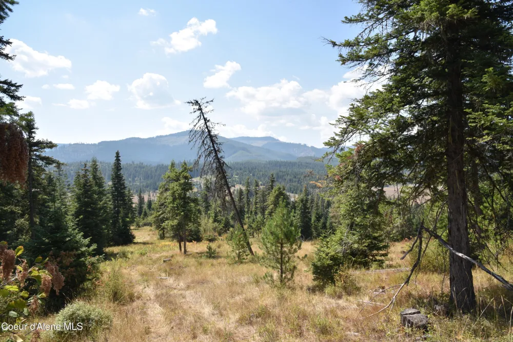 NNA lot 3 Carpenter Creek Road Fernwood, ID 83830