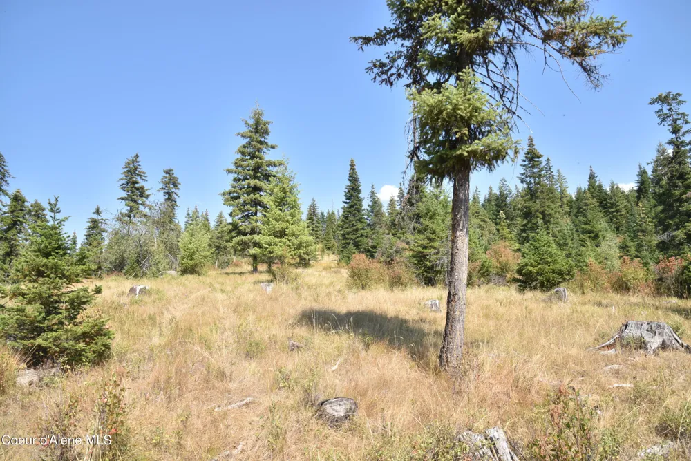 NNA lot 3 Carpenter Creek Road Fernwood, ID 83830