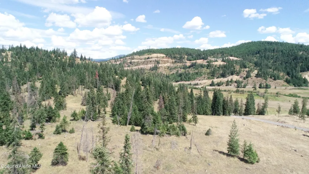 NNA lot 3 Carpenter Creek Road Fernwood, ID 83830