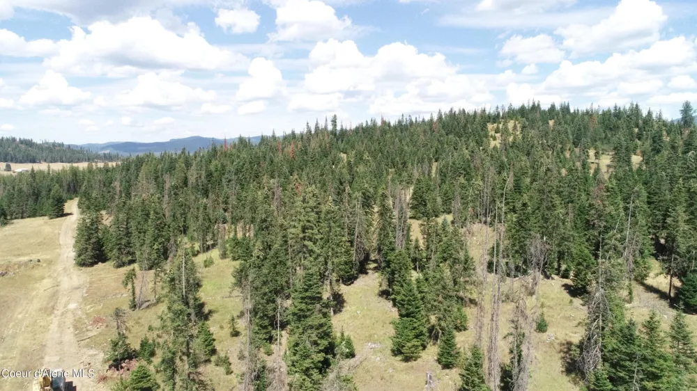 NNA lot 3 Carpenter Creek Road Fernwood, ID 83830