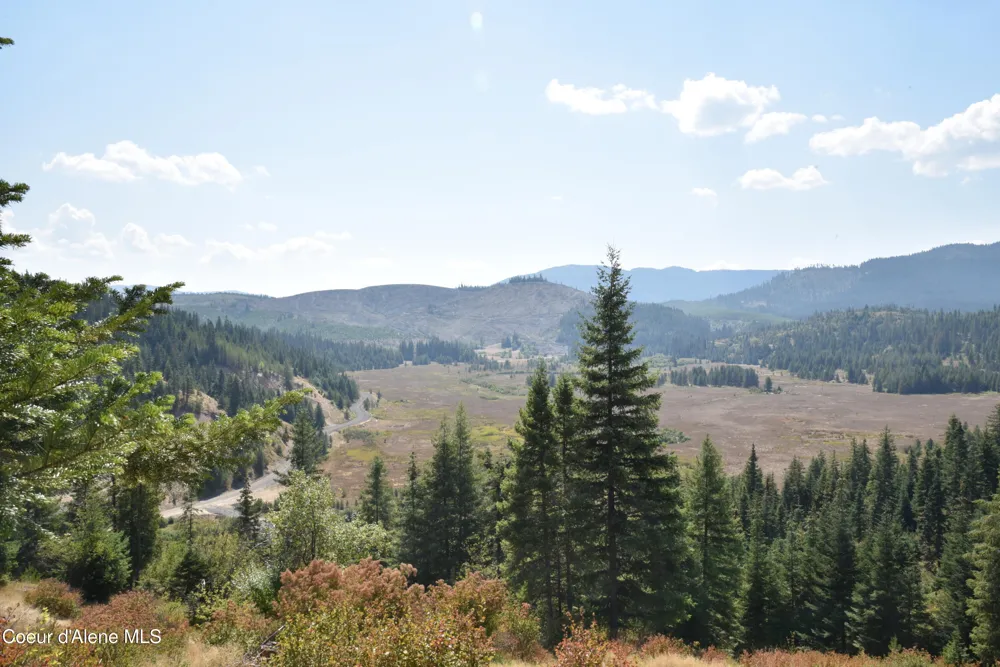 NNA lot 3 Carpenter Creek Road Fernwood, ID 83830