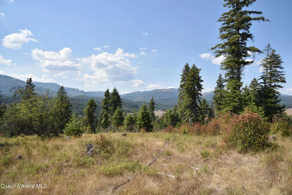 NNA lot 3 Carpenter Creek Road Fernwood, ID 83830