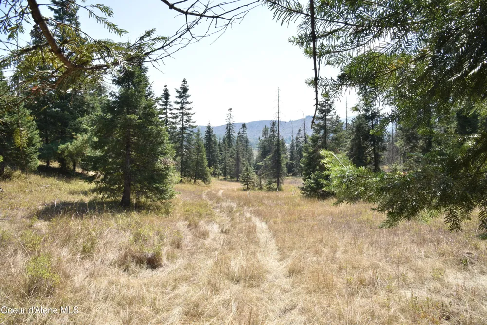 NNA lot 3 Carpenter Creek Road Fernwood, ID 83830