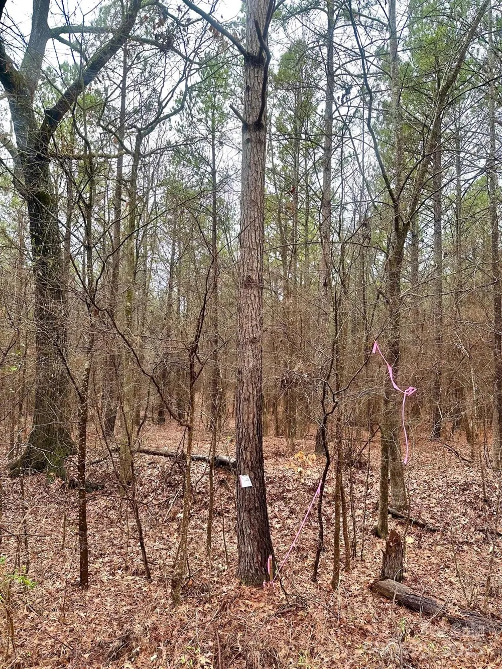 1176 Great Falls Highway Chester, SC 29706