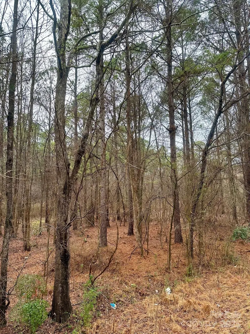 1176 Great Falls Highway Chester, SC 29706