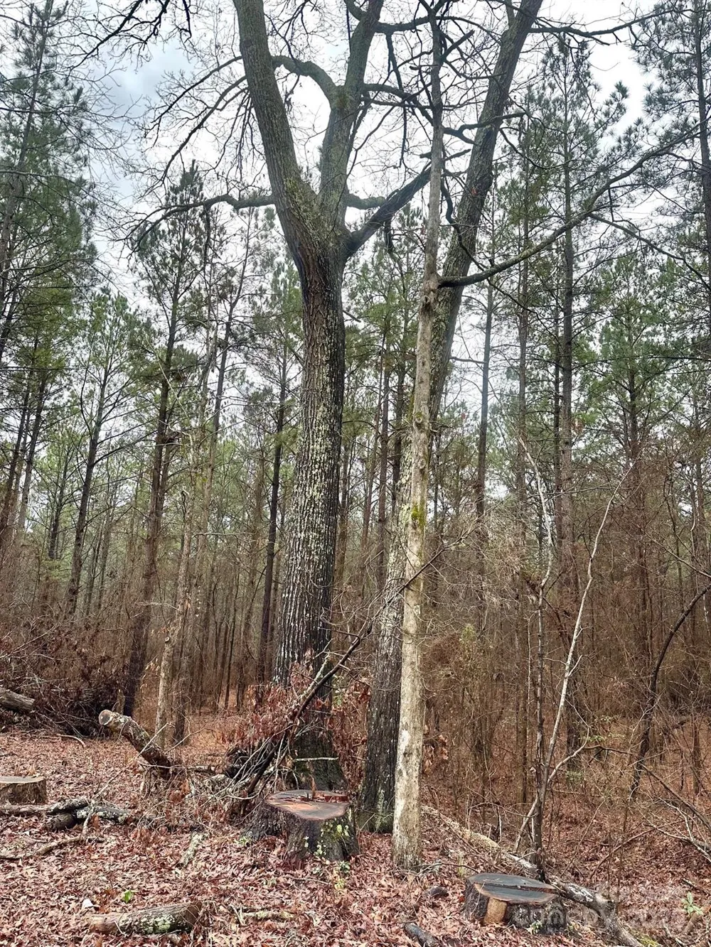 1176 Great Falls Highway Chester, SC 29706