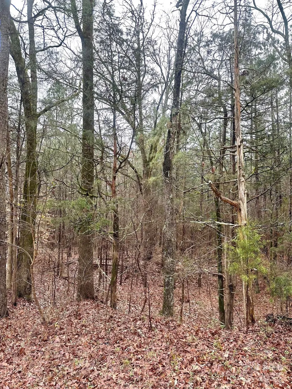 1176 Great Falls Highway Chester, SC 29706