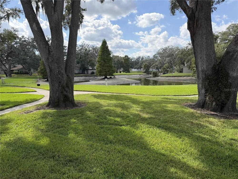 7925 PINE DRIVE #33 Temple Terrace, FL 33637