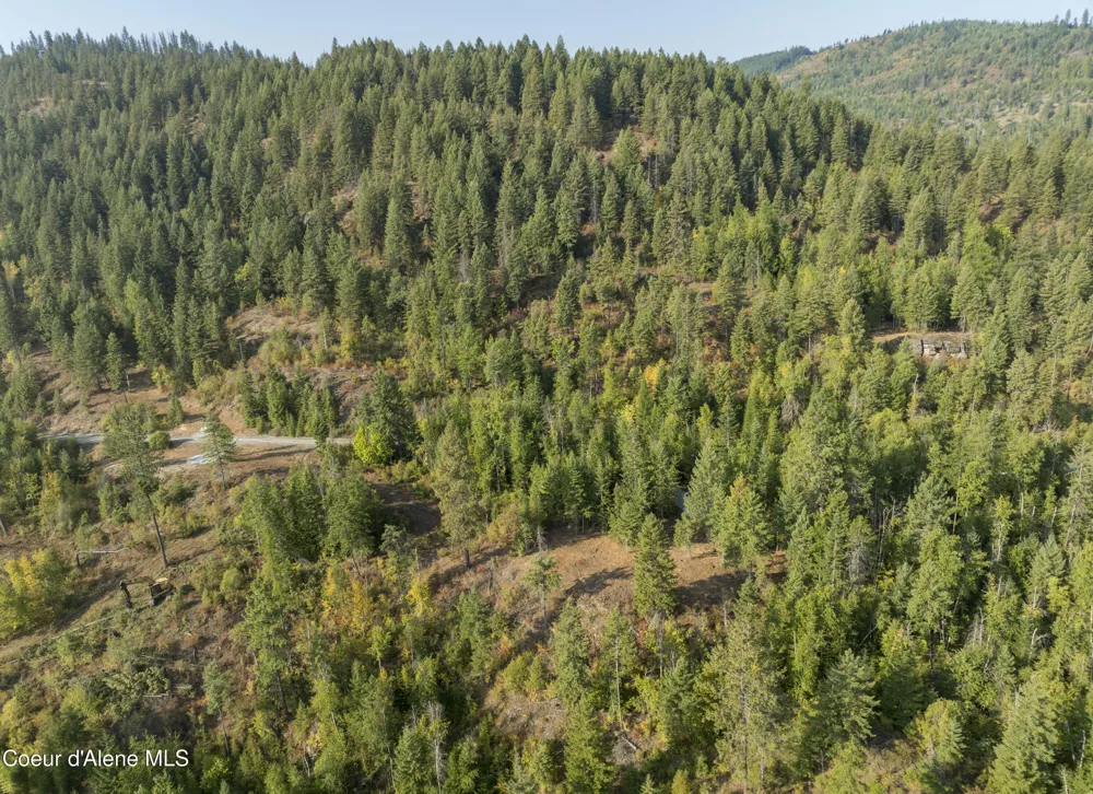 Lot 2 Braden Estates Priest River, ID 83856