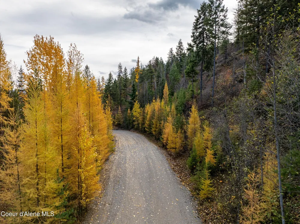 Lot 4 Braden Estates Priest River, ID 83856