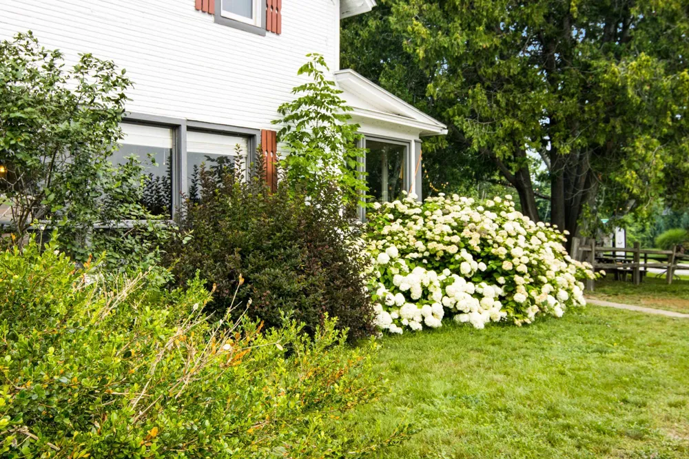 149 E Harbor Highway Cleveland Township, MI 49664